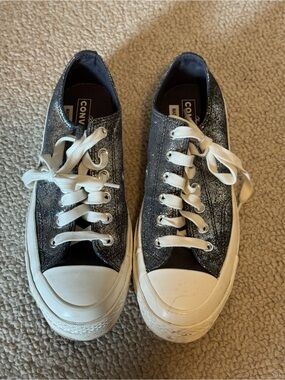 Converse Chuck Taylor Glitter Low Top Sneakers - Black/Silver Sparkle